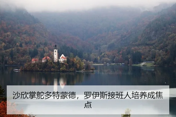 沙欣掌舵多特蒙德，罗伊斯接班人培养成焦点
