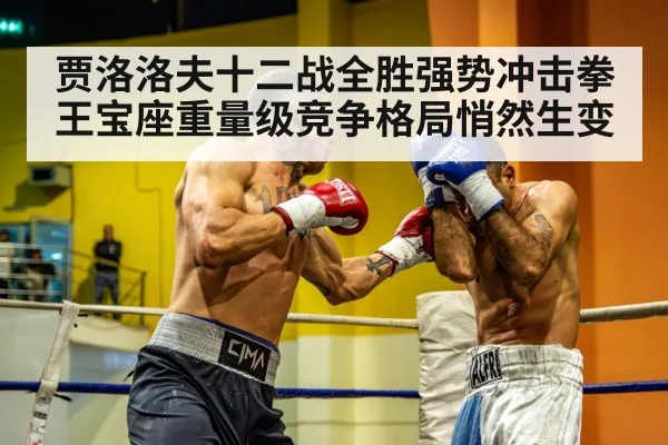 贾洛洛夫十二战全胜强势冲击拳王宝座重量级竞争格局悄然生变