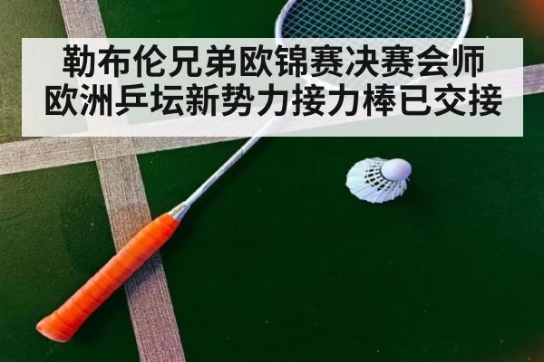 勒布伦兄弟欧锦赛决赛会师 欧洲乒坛新势力接力棒已交接